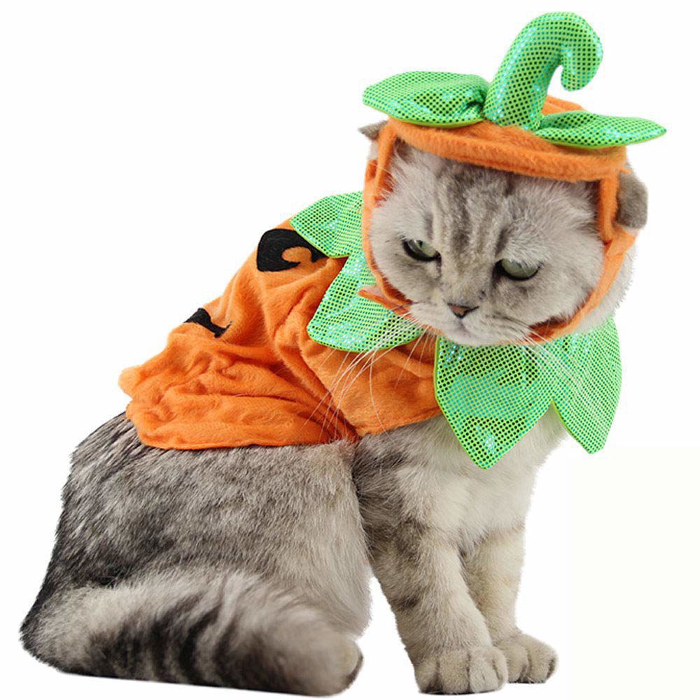 Pumpkin